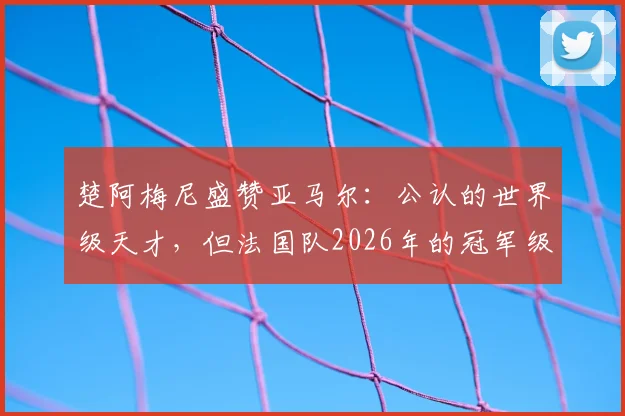 楚阿梅尼盛赞亚马尔：公认的世界级天才，但法国队2026年的冠军级班底同样深厚