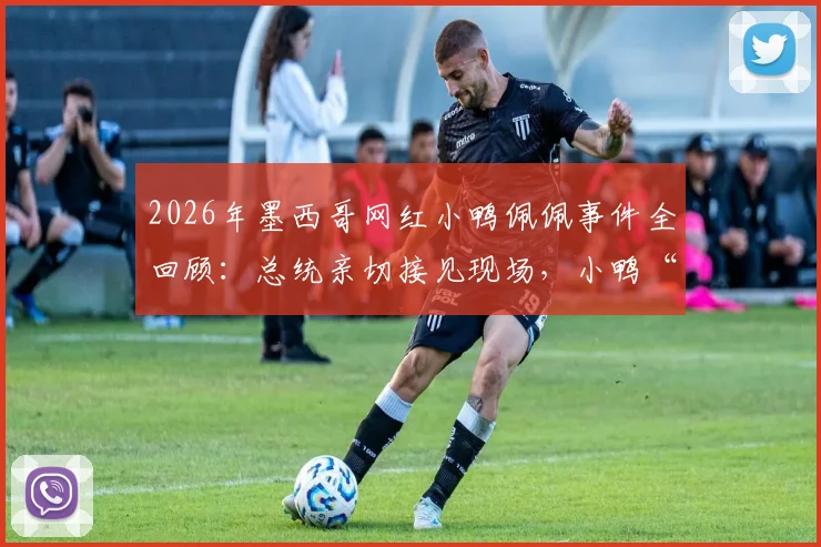 2026年墨西哥网红小鸭佩佩事件全回顾：总统亲切接见现场，小鸭“攻击”举动引热议